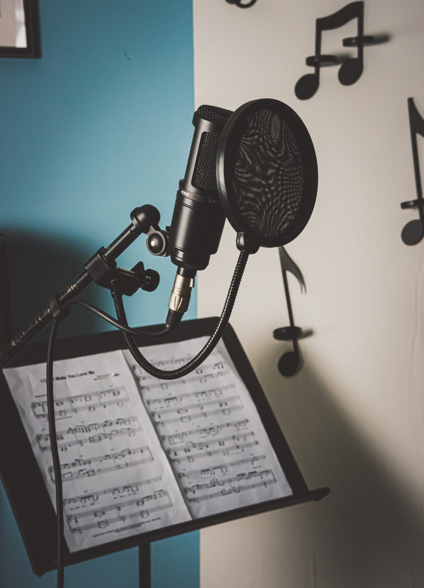 Instalaciones del estudio vocal